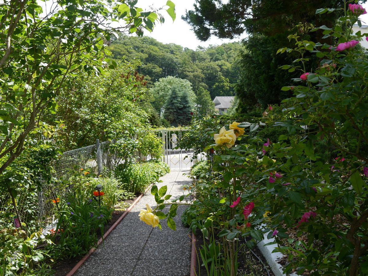 Pension Mittag Heringsdorf  Exterior photo